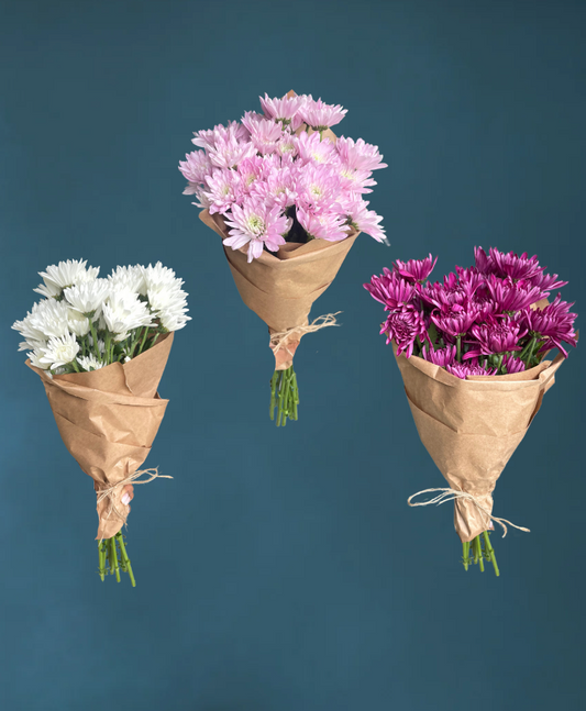 Mid-Summer Mums