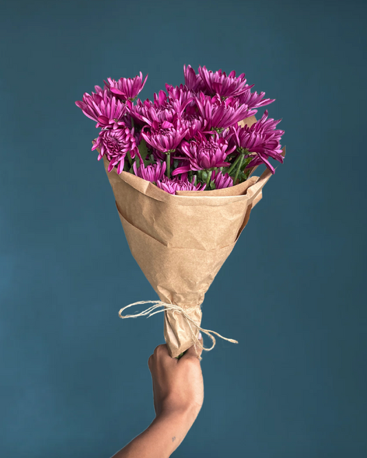 Mid-Summer Mums