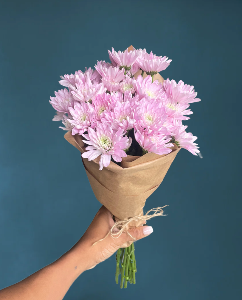 Mid-Summer Mums